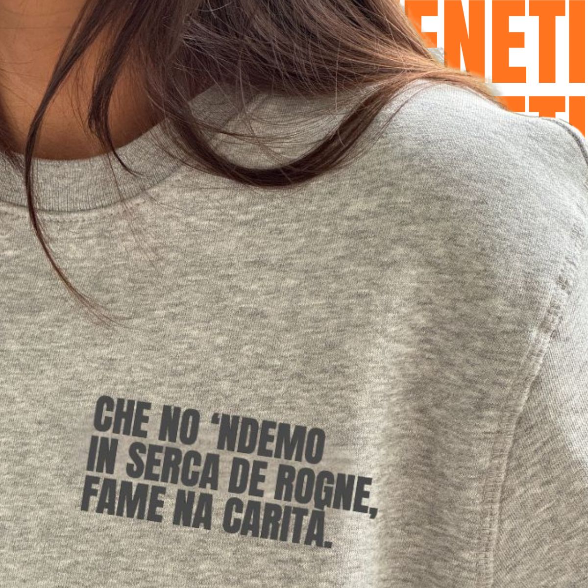 Felpa IN SERCA DE ROGNE