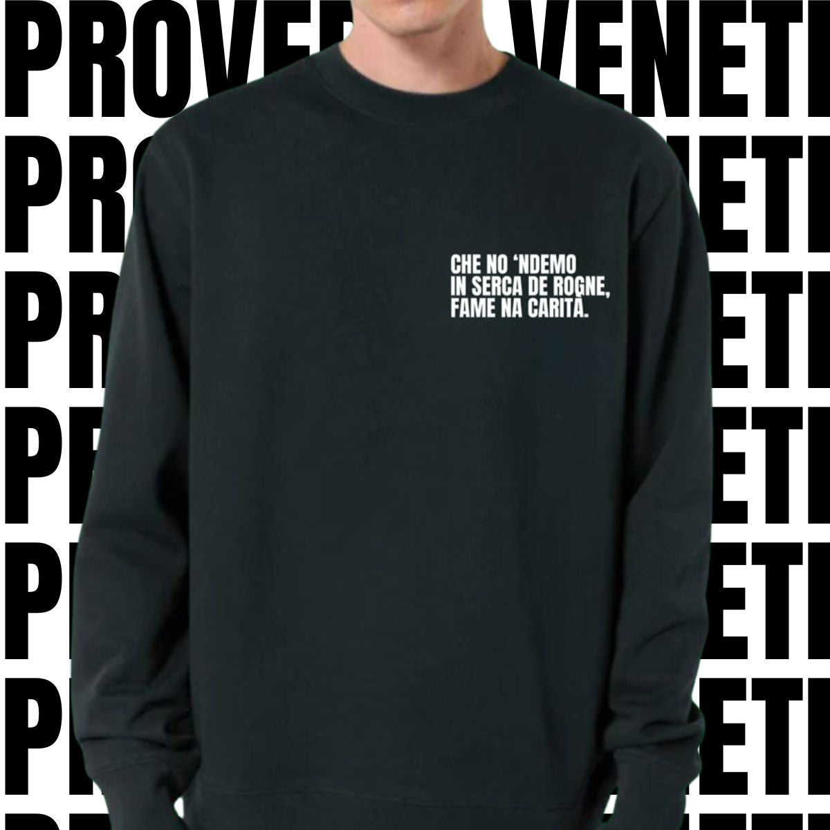 Felpa IN SERCA DE ROGNE